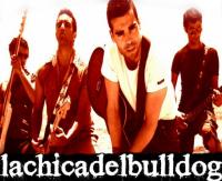 lachicadelbulldog